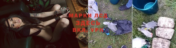 кокс Белокуриха