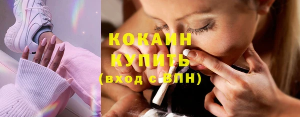 прущие грибы Балабаново