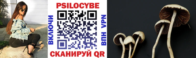 shop официальный сайт  Буинск  Галлюциногенные грибы мухоморы 